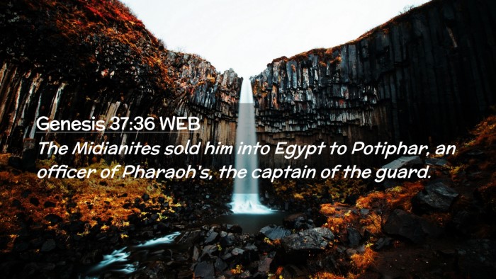 Picture 02 - Genesis 37:36 WEB Desktop Wallpaper - The Midianites sold him into Egypt to Potiphar, - Desktop Bible Verse Wallpaper