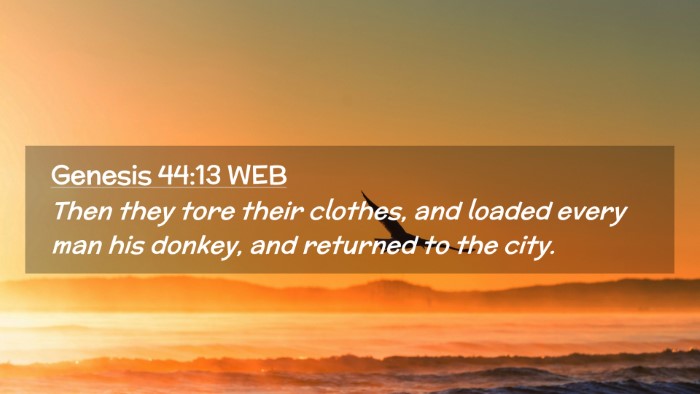 Picture 02 - Genesis 44:13 WEB Desktop Wallpaper - Then they tore their clothes, and loaded every - Desktop Bible Verse Wallpaper