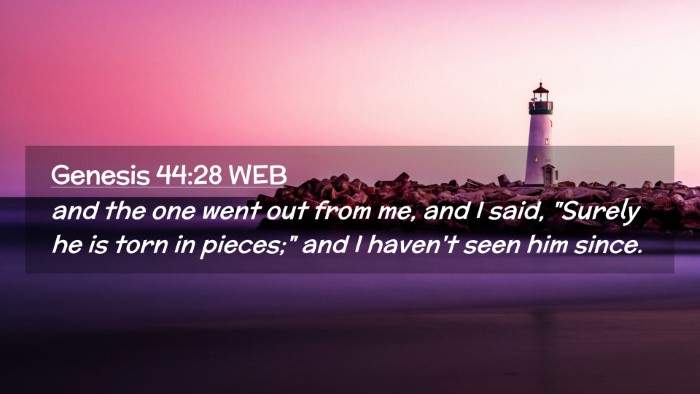 Picture 02 - Genesis 44:28 WEB Desktop Wallpaper - and the one went out from me, and I said, 