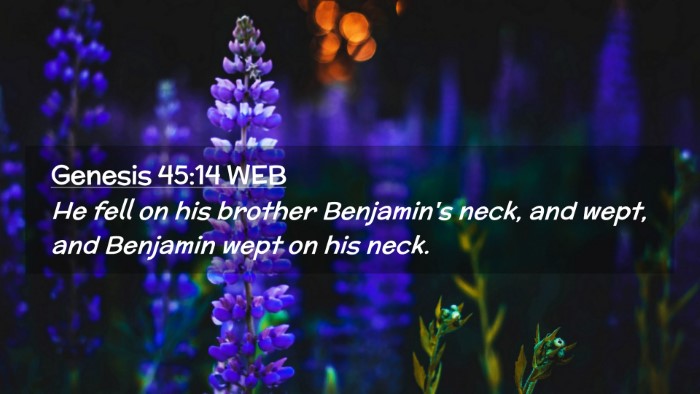 Picture 02 - Genesis 45:14 WEB Desktop Wallpaper - He fell on his brother Benjamin's neck, and wept, - Desktop Bible Verse Wallpaper