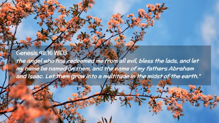 Picture 02 - Genesis 48:16 WEB Desktop Wallpaper - the angel who has redeemed me from all evil, - Desktop Bible Verse Wallpaper