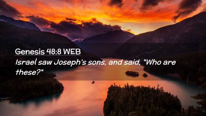 Picture 02 - Genesis 48:8 WEB Desktop Wallpaper - Israel saw Joseph's sons, and said, 