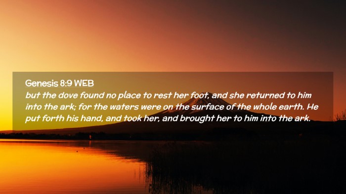 Picture 02 - Genesis 8:9 WEB Desktop Wallpaper - but the dove found no place to rest her foot, and - Desktop Bible Verse Wallpaper