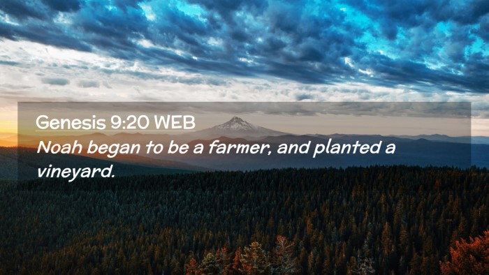 Picture 02 - Genesis 9:20 WEB Desktop Wallpaper - Noah began to be a farmer, and planted a - Desktop Bible Verse Wallpaper