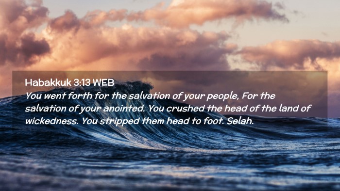 Picture 02 - Habakkuk 3:13 WEB Desktop Wallpaper - You went forth for the salvation of your people, - Desktop Bible Verse Wallpaper