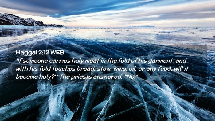 Picture 02 - Haggai 2:12 WEB Desktop Wallpaper - 'If someone carries holy meat in the fold of his - Desktop Bible Verse Wallpaper