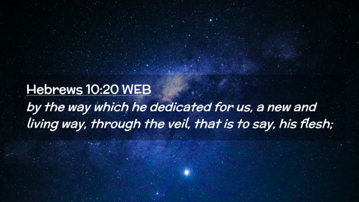 Picture 02 - Hebrews 10:20 WEB Desktop Wallpaper - by the way which he dedicated for us, a new and - Desktop Bible Verse Wallpaper