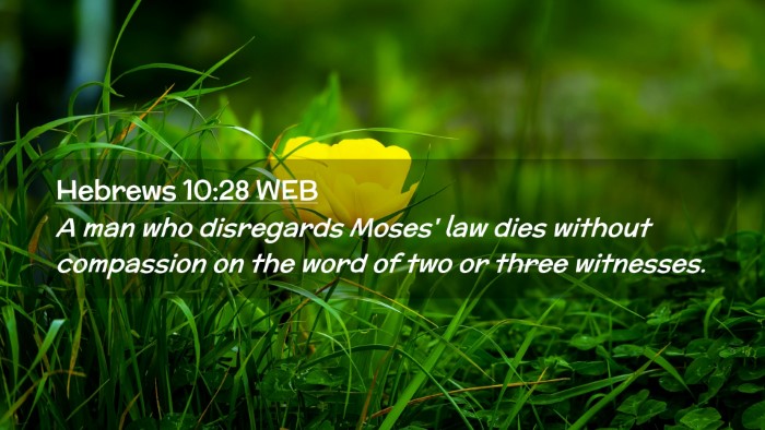 Picture 02 - Hebrews 10:28 WEB Desktop Wallpaper - A man who disregards Moses' law dies without - Desktop Bible Verse Wallpaper