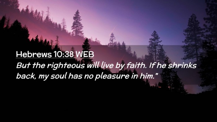Picture 02 - Hebrews 10:38 WEB Desktop Wallpaper - But the righteous will live by faith. If he - Desktop Bible Verse Wallpaper