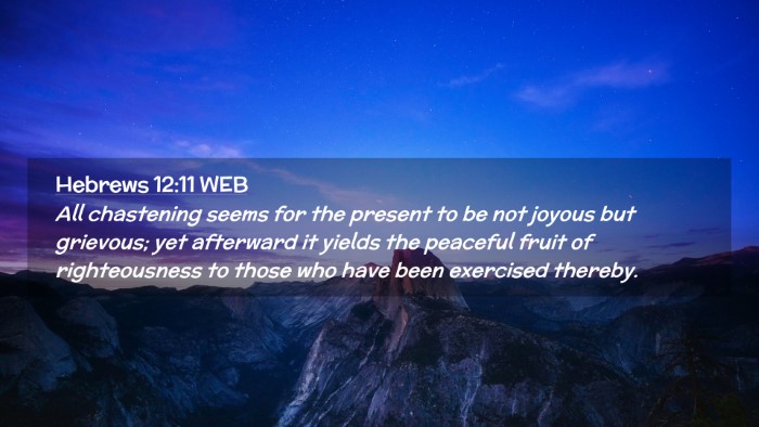 Picture 02 - Hebrews 12:11 WEB Desktop Wallpaper - All chastening seems for the present to be not - Desktop Bible Verse Wallpaper