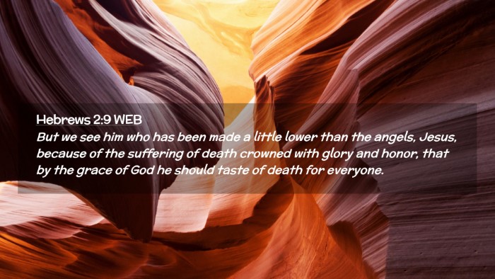 Picture 02 - Hebrews 2:9 WEB Desktop Wallpaper - But we see him who has been made a little lower - Desktop Bible Verse Wallpaper