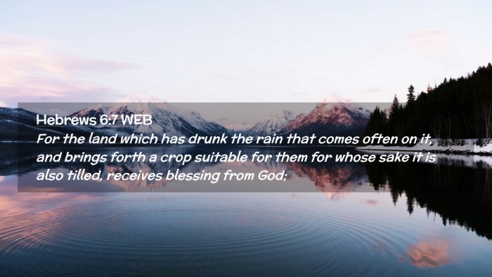 Picture 02 - Hebrews 6:7 WEB Desktop Wallpaper - For the land which has drunk the rain that comes - Desktop Bible Verse Wallpaper