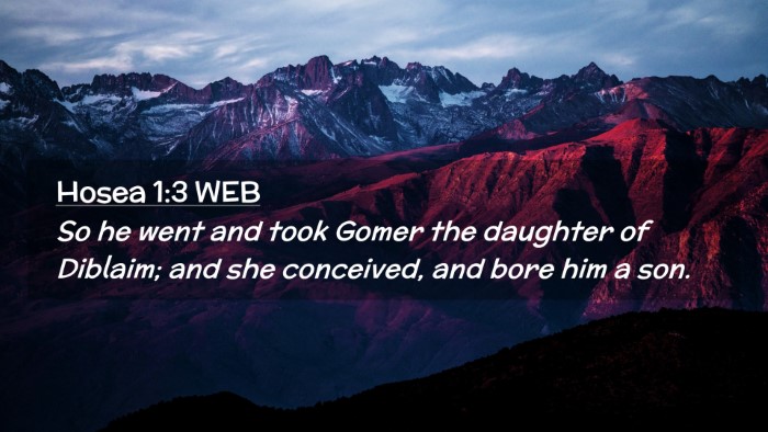 Picture 02 - Hosea 1:3 WEB Desktop Wallpaper - So he went and took Gomer the daughter of - Desktop Bible Verse Wallpaper