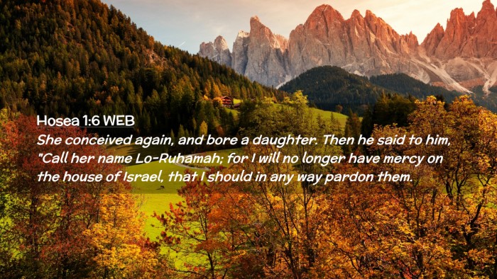Picture 02 - Hosea 1:6 WEB Desktop Wallpaper - She conceived again, and bore a daughter. Then he - Desktop Bible Verse Wallpaper