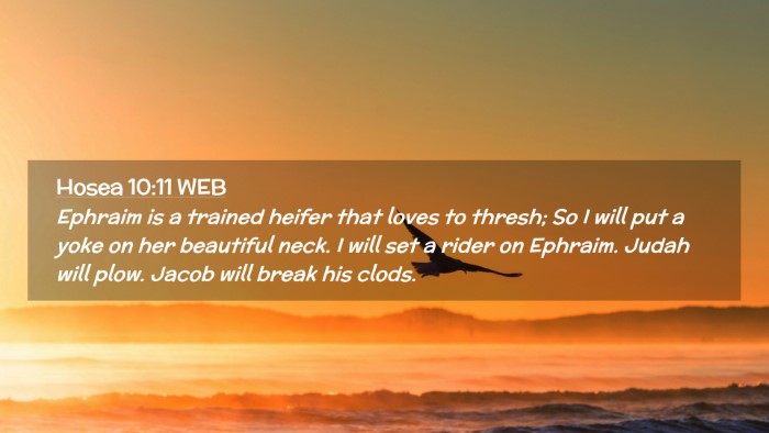 Picture 02 - Hosea 10:11 WEB Desktop Wallpaper - Ephraim is a trained heifer that loves to thresh; - Desktop Bible Verse Wallpaper