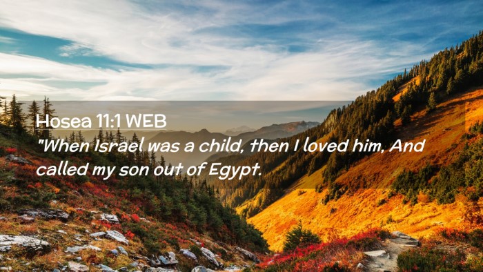 Picture 02 - Hosea 11:1 WEB Desktop Wallpaper - 