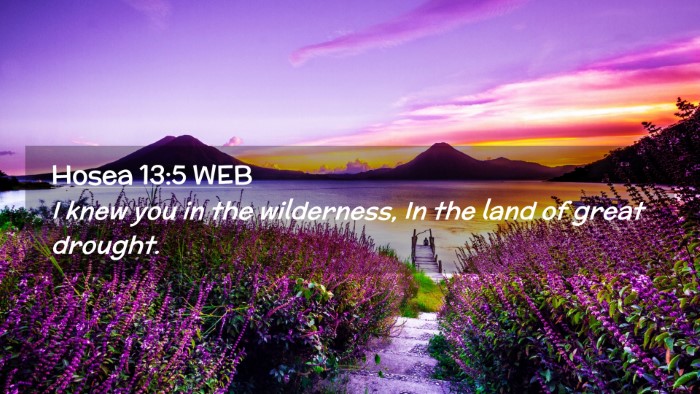 Picture 02 - Hosea 13:5 WEB Desktop Wallpaper - I knew you in the wilderness, In the land of - Desktop Bible Verse Wallpaper
