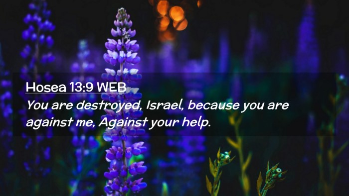 Picture 02 - Hosea 13:9 WEB Desktop Wallpaper - You are destroyed, Israel, because you are - Desktop Bible Verse Wallpaper