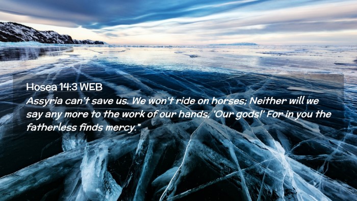 Picture 02 - Hosea 14:3 WEB Desktop Wallpaper - Assyria can't save us. We won't ride on horses; - Desktop Bible Verse Wallpaper