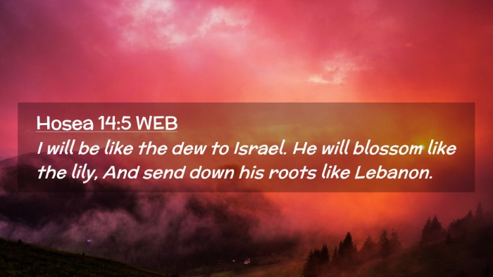 Picture 02 - Hosea 14:5 WEB Desktop Wallpaper - I will be like the dew to Israel. He will blossom - Desktop Bible Verse Wallpaper