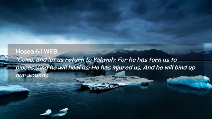 Picture 02 - Hosea 6:1 WEB Desktop Wallpaper - 