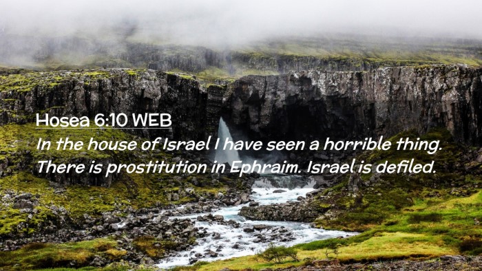Picture 02 - Hosea 6:10 WEB Desktop Wallpaper - In the house of Israel I have seen a horrible - Desktop Bible Verse Wallpaper