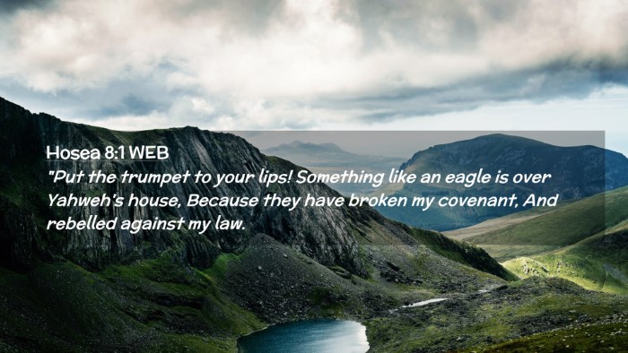Picture 02 - Hosea 8:1 WEB Desktop Wallpaper - 