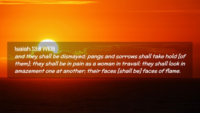 Picture 02 - Isaiah 13:8 WEB Desktop Wallpaper - and they shall be dismayed; pangs and sorrows - Desktop Bible Verse Wallpaper