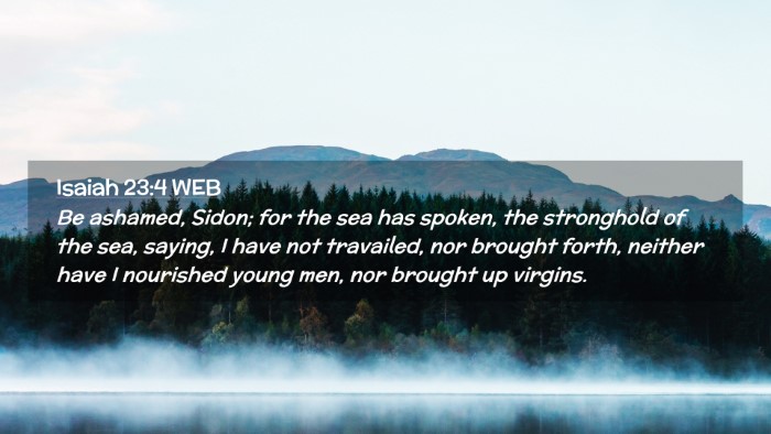 Picture 02 - Isaiah 23:4 WEB Desktop Wallpaper - Be ashamed, Sidon; for the sea has spoken, the - Desktop Bible Verse Wallpaper