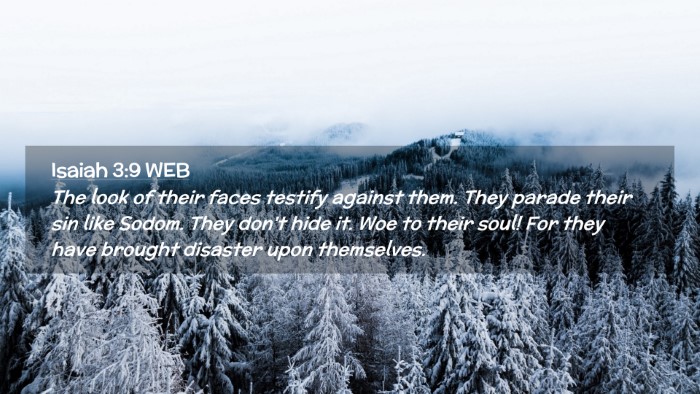 Picture 02 - Isaiah 3:9 WEB Desktop Wallpaper - The look of their faces testify against them. - Desktop Bible Verse Wallpaper