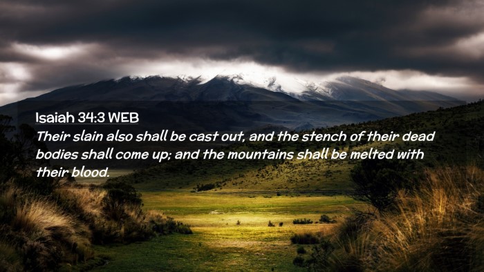 Picture 02 - Isaiah 34:3 WEB Desktop Wallpaper - Their slain also shall be cast out, and the - Desktop Bible Verse Wallpaper