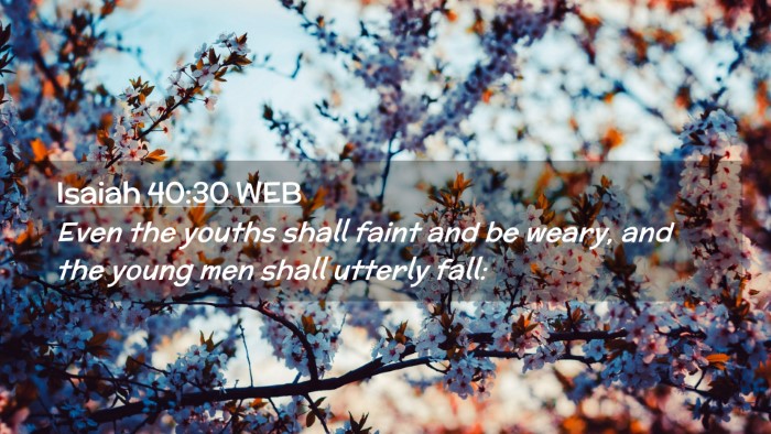 Picture 02 - Isaiah 40:30 WEB Desktop Wallpaper - Even the youths shall faint and be weary, and the - Desktop Bible Verse Wallpaper