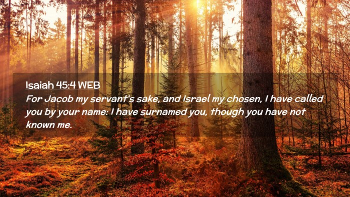 Picture 02 - Isaiah 45:4 WEB Desktop Wallpaper - For Jacob my servant's sake, and Israel my - Desktop Bible Verse Wallpaper