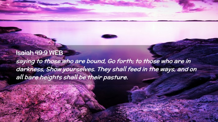 Picture 02 - Isaiah 49:9 WEB Desktop Wallpaper - saying to those who are bound, Go forth; to those - Desktop Bible Verse Wallpaper