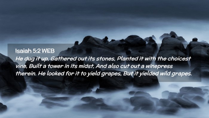 Picture 02 - Isaiah 5:2 WEB Desktop Wallpaper - He dug it up, Gathered out its stones, Planted it - Desktop Bible Verse Wallpaper