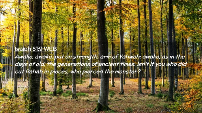 Picture 02 - Isaiah 51:9 WEB Desktop Wallpaper - Awake, awake, put on strength, arm of Yahweh; - Desktop Bible Verse Wallpaper