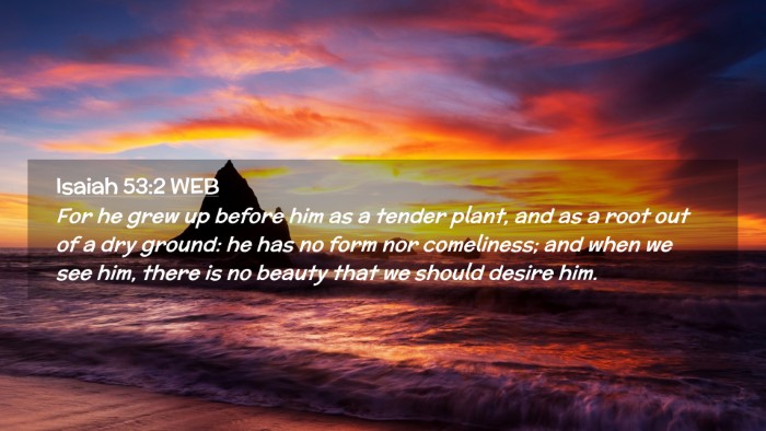 Picture 02 - Isaiah 53:2 WEB Desktop Wallpaper - For he grew up before him as a tender plant, and - Desktop Bible Verse Wallpaper
