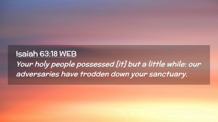 Picture 02 - Isaiah 63:18 WEB Desktop Wallpaper - Your holy people possessed [it] but a little - Desktop Bible Verse Wallpaper