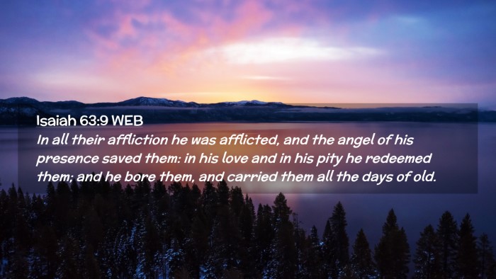 Picture 02 - Isaiah 63:9 WEB Desktop Wallpaper - In all their affliction he was afflicted, and the - Desktop Bible Verse Wallpaper