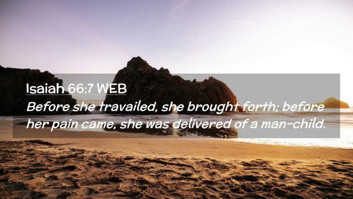 Picture 02 - Isaiah 66:7 WEB Desktop Wallpaper - Before she travailed, she brought forth; before - Desktop Bible Verse Wallpaper