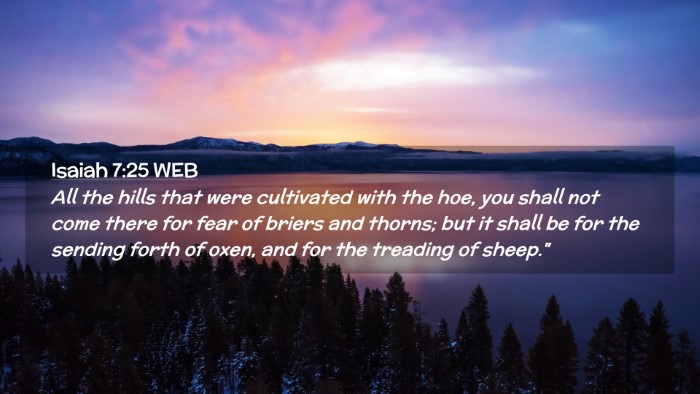 Picture 02 - Isaiah 7:25 WEB Desktop Wallpaper - All the hills that were cultivated with the hoe, - Desktop Bible Verse Wallpaper