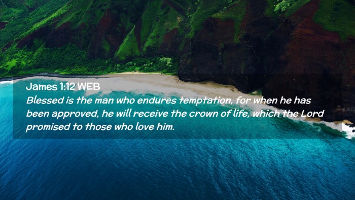 Picture 02 - James 1:12 WEB Desktop Wallpaper - Blessed is the man who endures temptation, for - Desktop Bible Verse Wallpaper