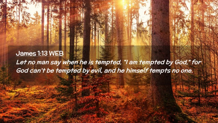 Picture 02 - James 1:13 WEB Desktop Wallpaper - Let no man say when he is tempted, 