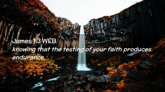 Picture 02 - James 1:3 WEB Desktop Wallpaper - knowing that the testing of your faith produces - Desktop Bible Verse Wallpaper