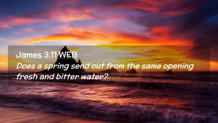 Picture 02 - James 3:11 WEB Desktop Wallpaper - Does a spring send out from the same opening - Desktop Bible Verse Wallpaper