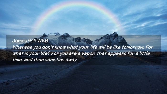 Picture 02 - James 4:14 WEB Desktop Wallpaper - Whereas you don't know what your life will be - Desktop Bible Verse Wallpaper