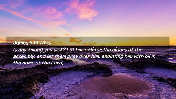 Picture 02 - James 5:14 WEB Desktop Wallpaper - Is any among you sick? Let him call for the - Desktop Bible Verse Wallpaper