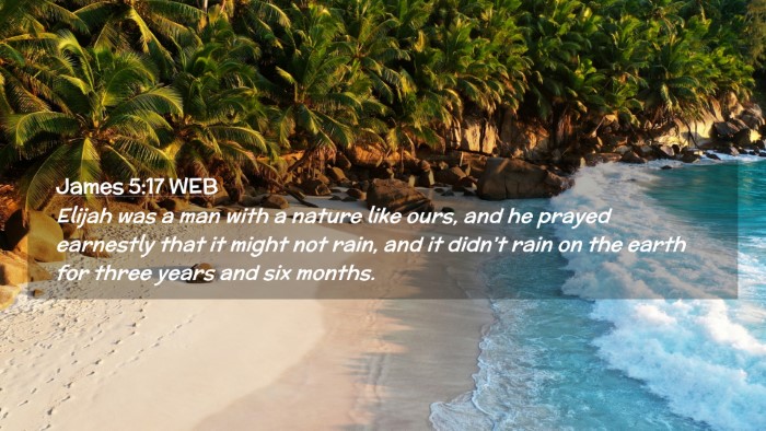 Picture 02 - James 5:17 WEB Desktop Wallpaper - Elijah was a man with a nature like ours, and he - Desktop Bible Verse Wallpaper