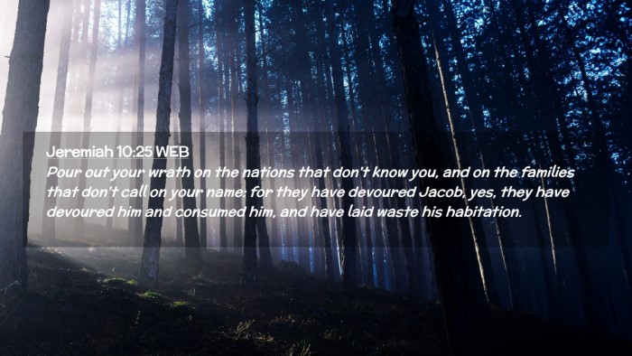 Picture 02 - Jeremiah 10:25 WEB Desktop Wallpaper - Pour out your wrath on the nations that don't - Desktop Bible Verse Wallpaper