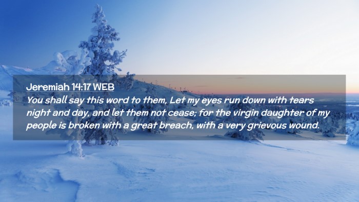 Picture 02 - Jeremiah 14:17 WEB Desktop Wallpaper - You shall say this word to them, Let my eyes run - Desktop Bible Verse Wallpaper
